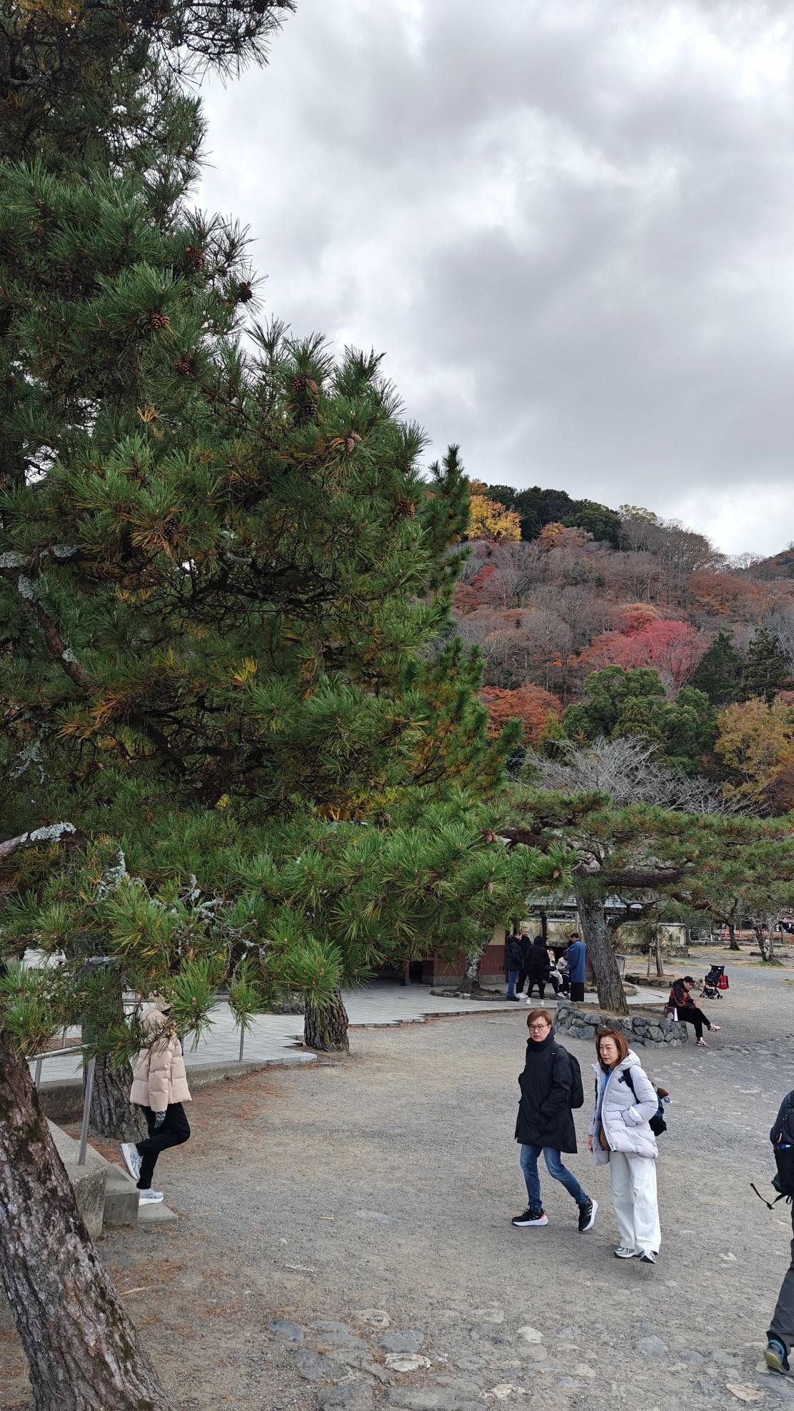 Visitors in park with autumn trees under cloudy sky