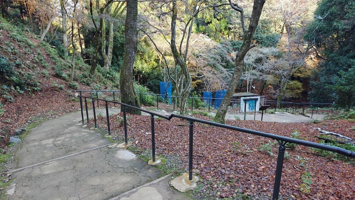 Wooded path with railings and leaves