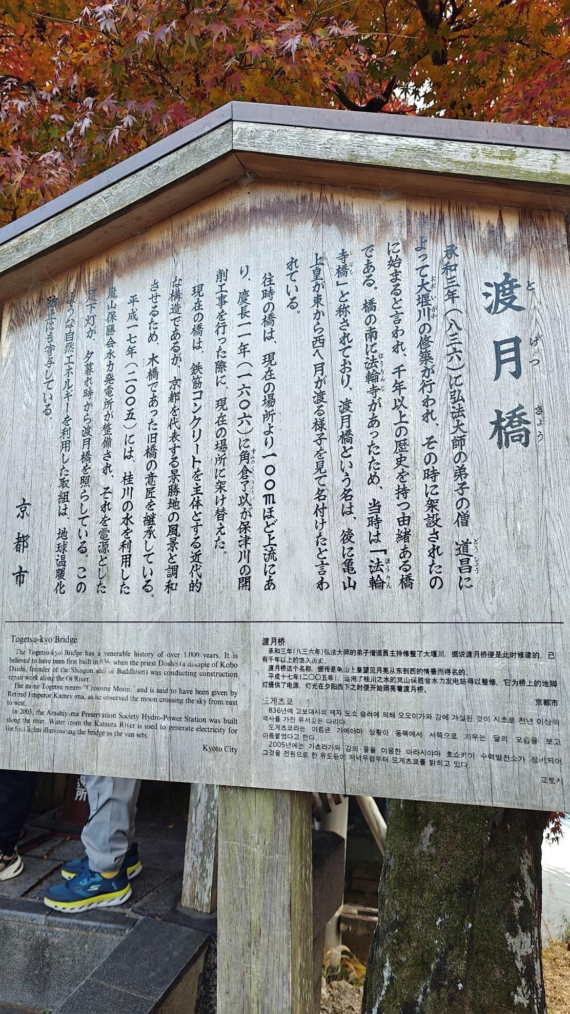 Wooden sign with multilingual text by autumn foliage