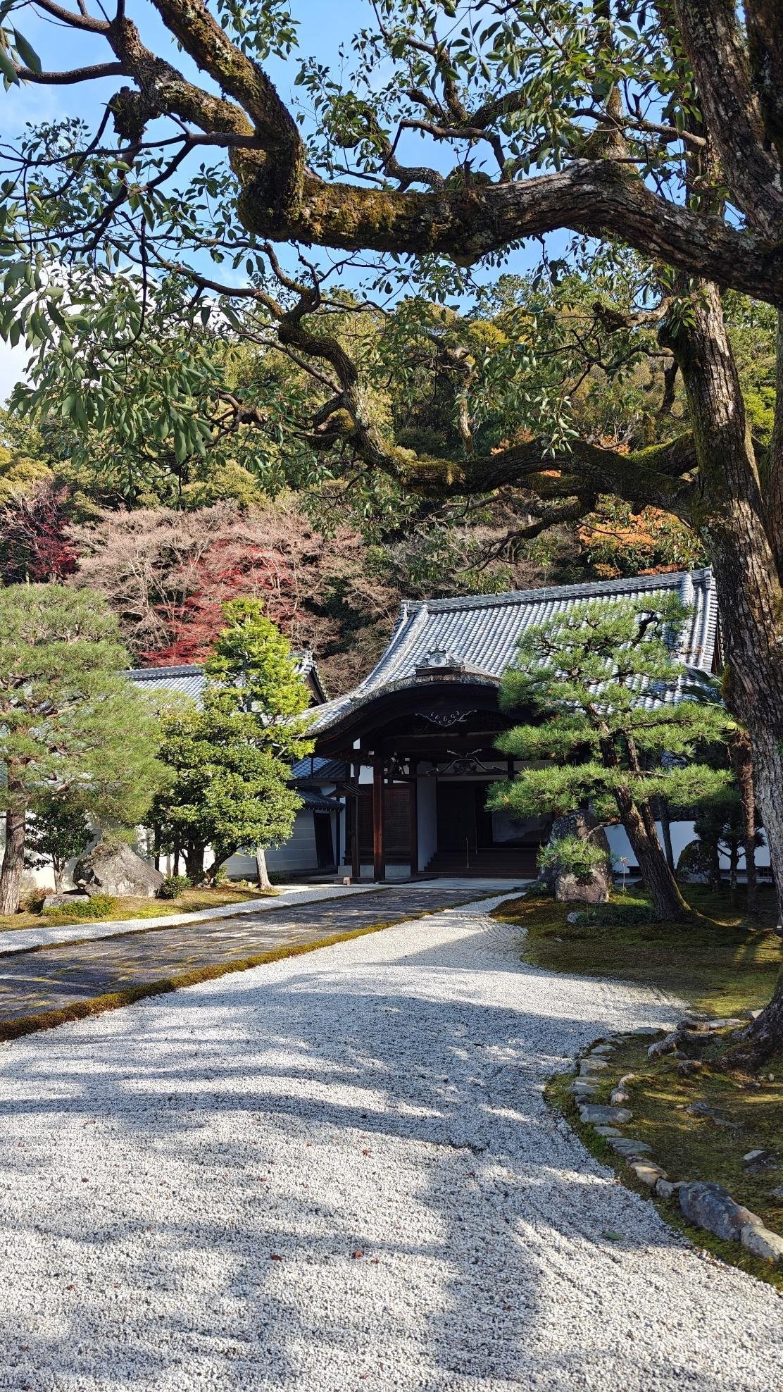 Zen garden path leading to a traditional temple amid lush trees