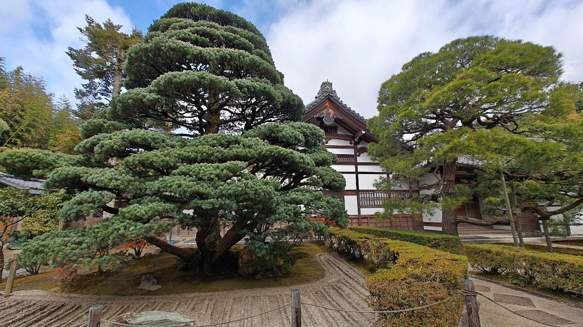 Zen garden with manicured trees and traditional architecture.