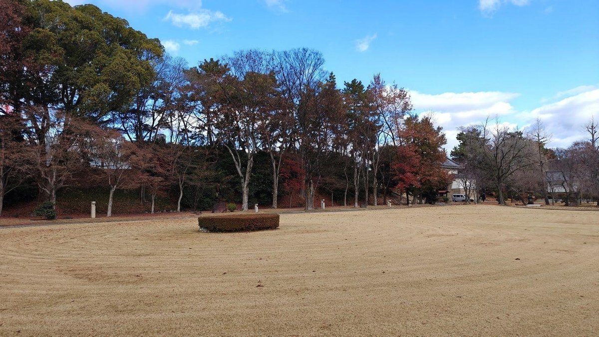 Autumn trees in park under blue sky