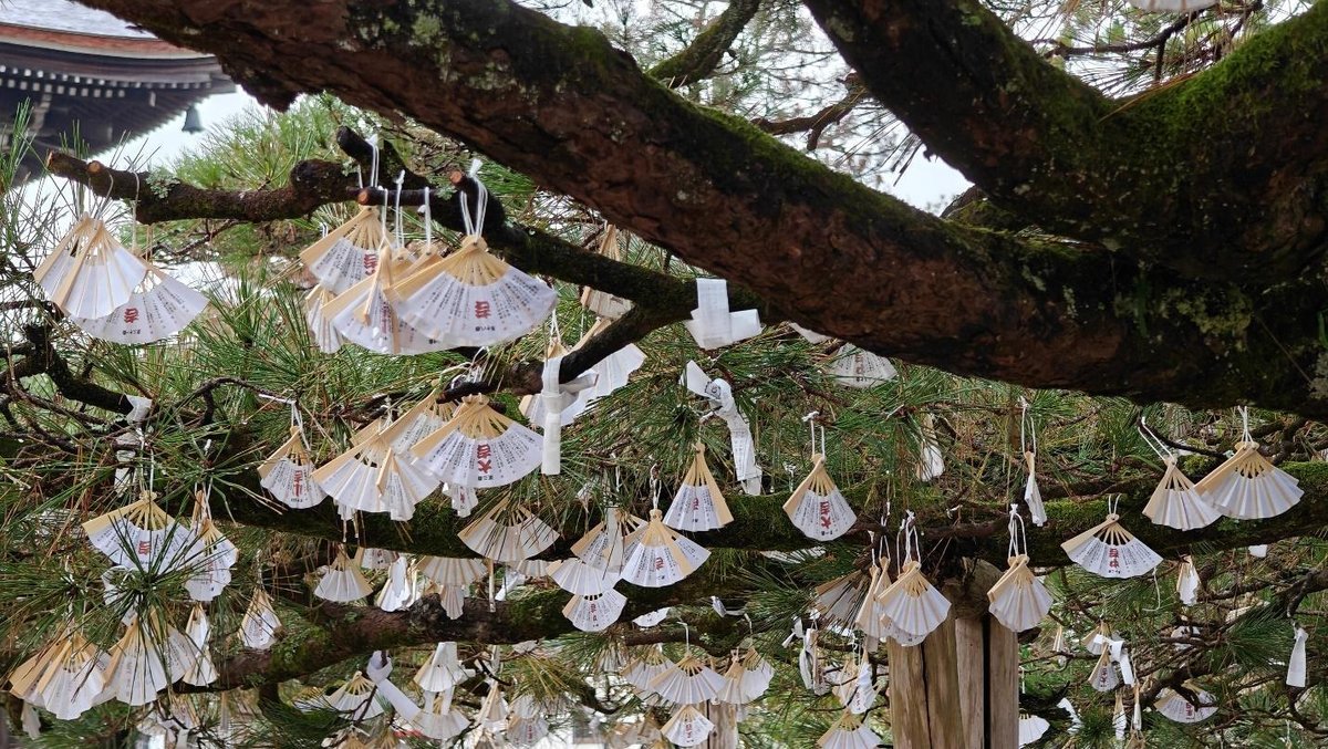 Fans hanging from a tree branch at a cultural site