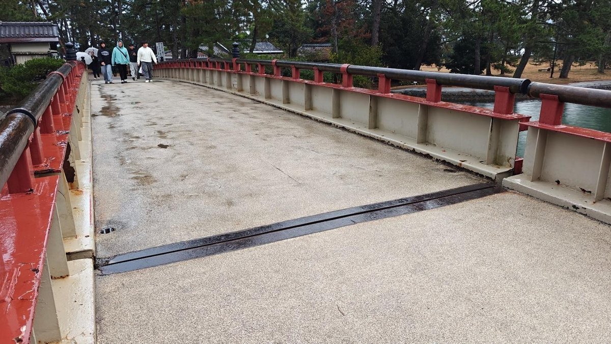 Group walking on a red rail bridge in a park