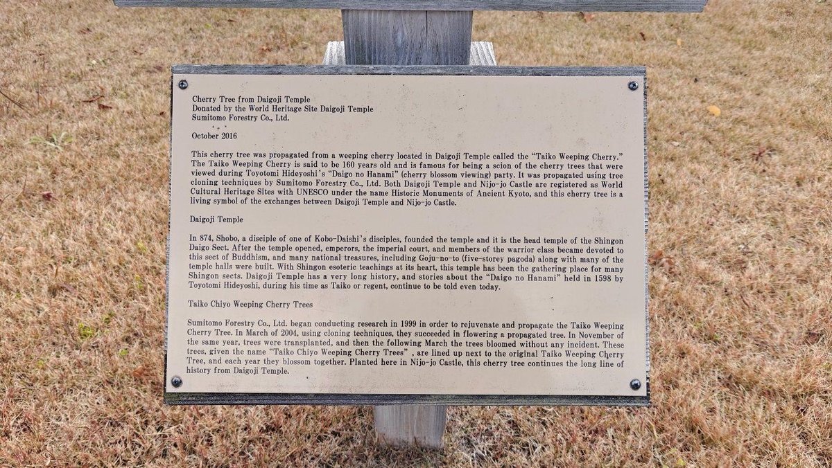 Informational plaque on grassy ground