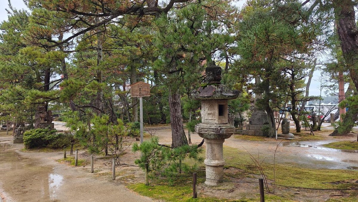 Japanese garden with stone lantern and pine trees