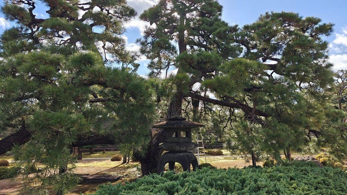 Japanese garden with stone lantern
