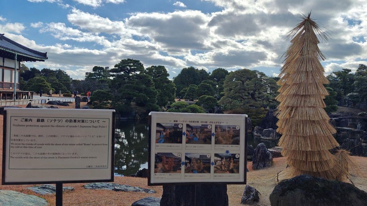 Japanese garden with straw-wrapped tree