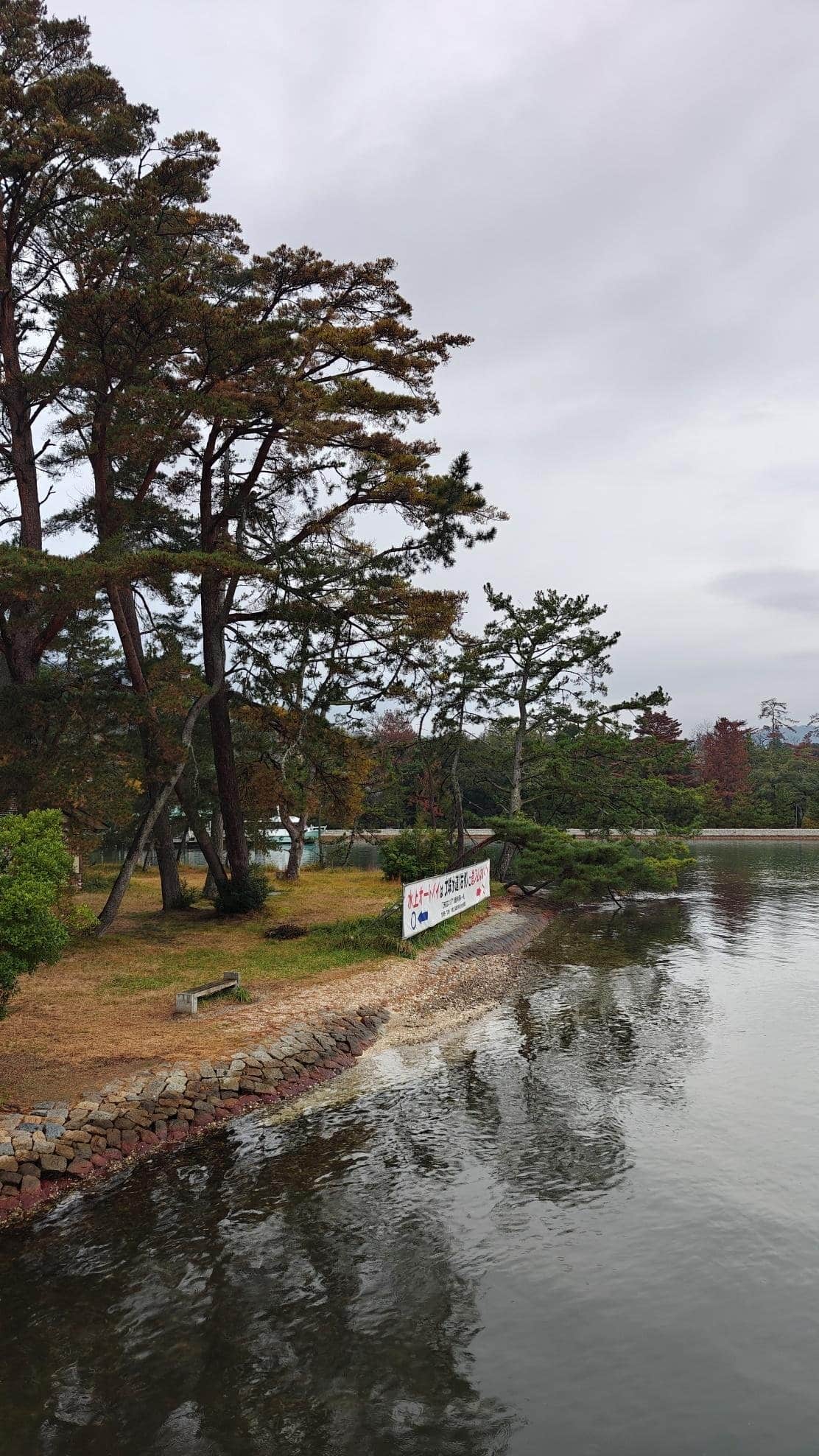 Lakeside with pine trees and a cloudy sky