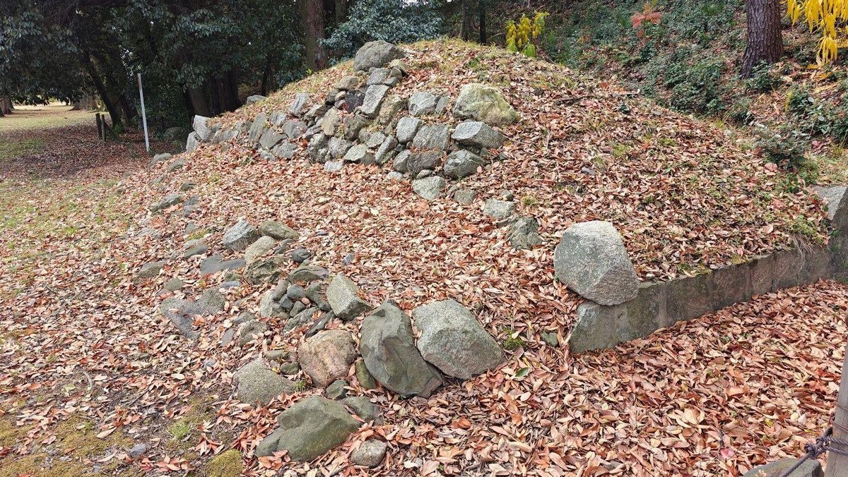 Leaf-covered rocks in forest setting