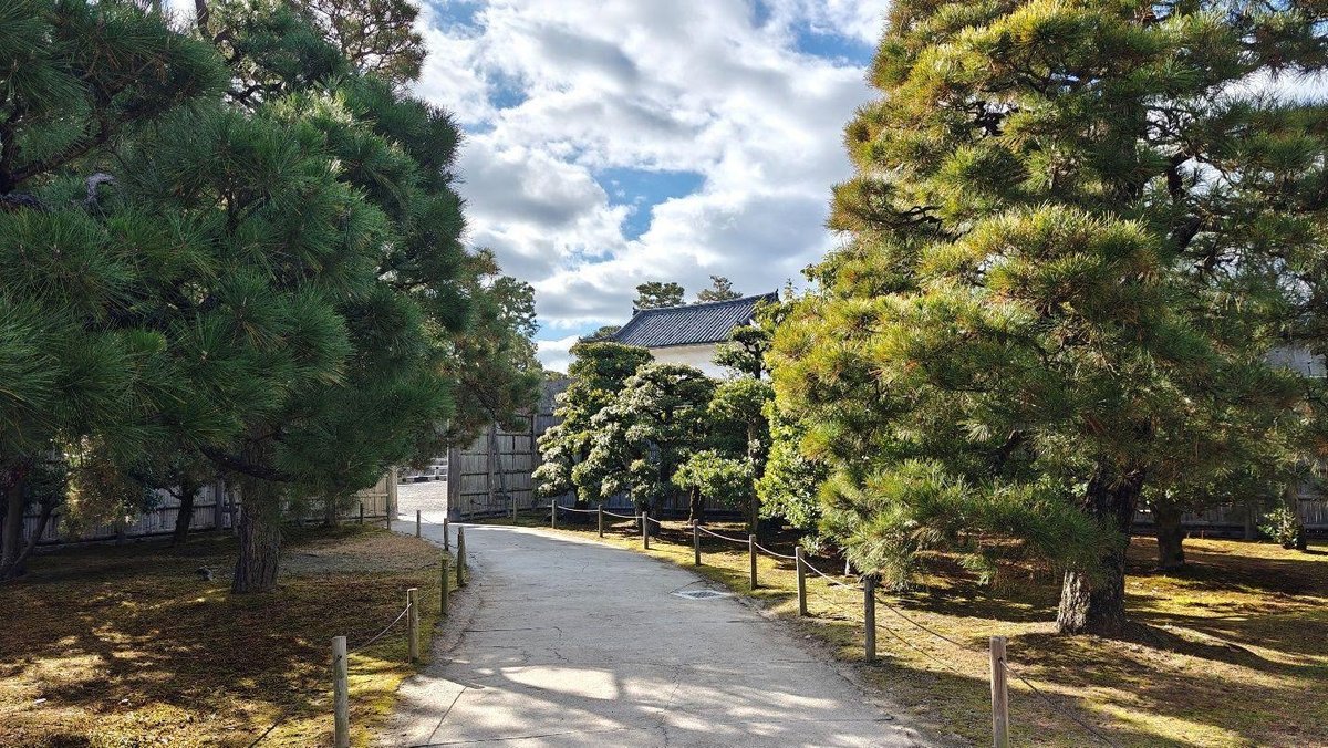 Pathway through lush garden with trees