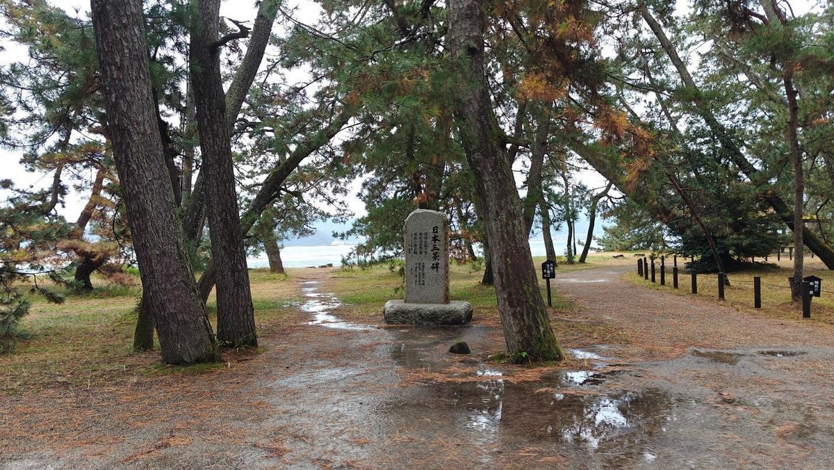 Pathway through pine trees leading to a beach, overcast day