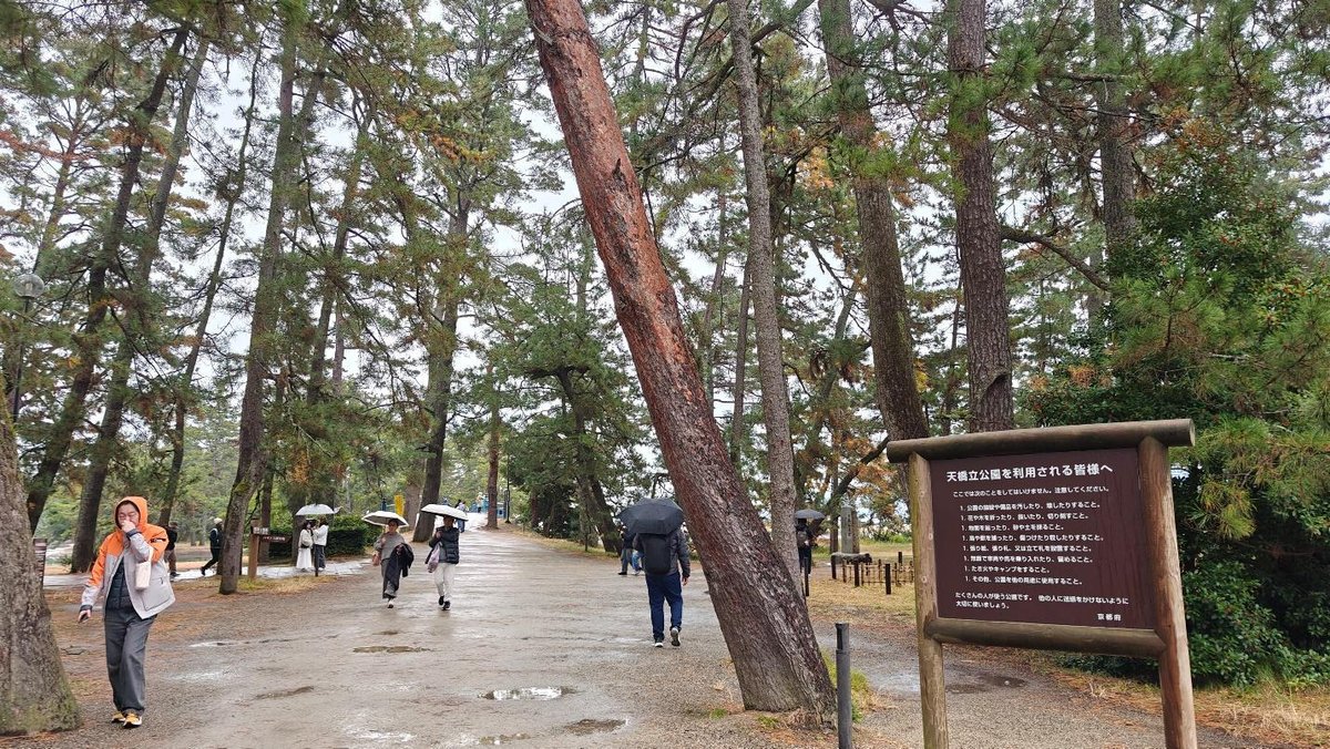 People walking on tree-lined path with umbrellas