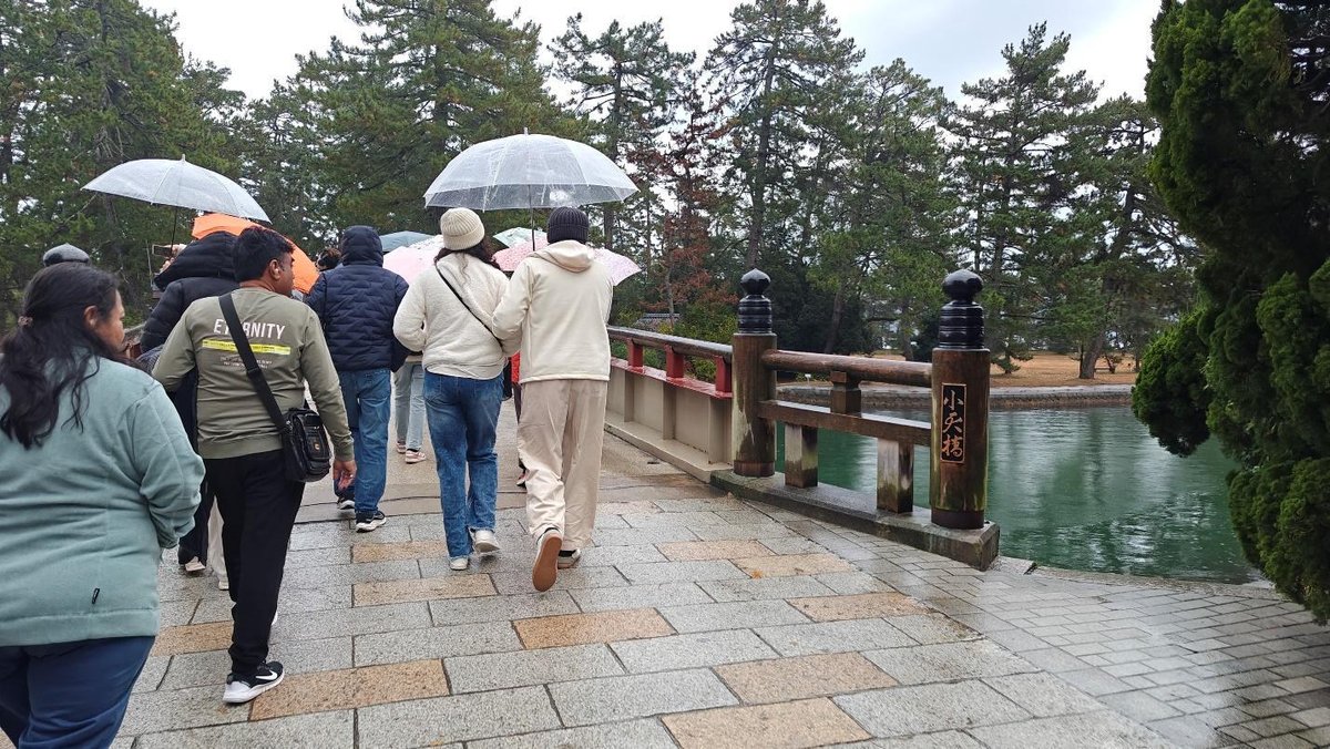 People walking with umbrellas on a bridge over a pond