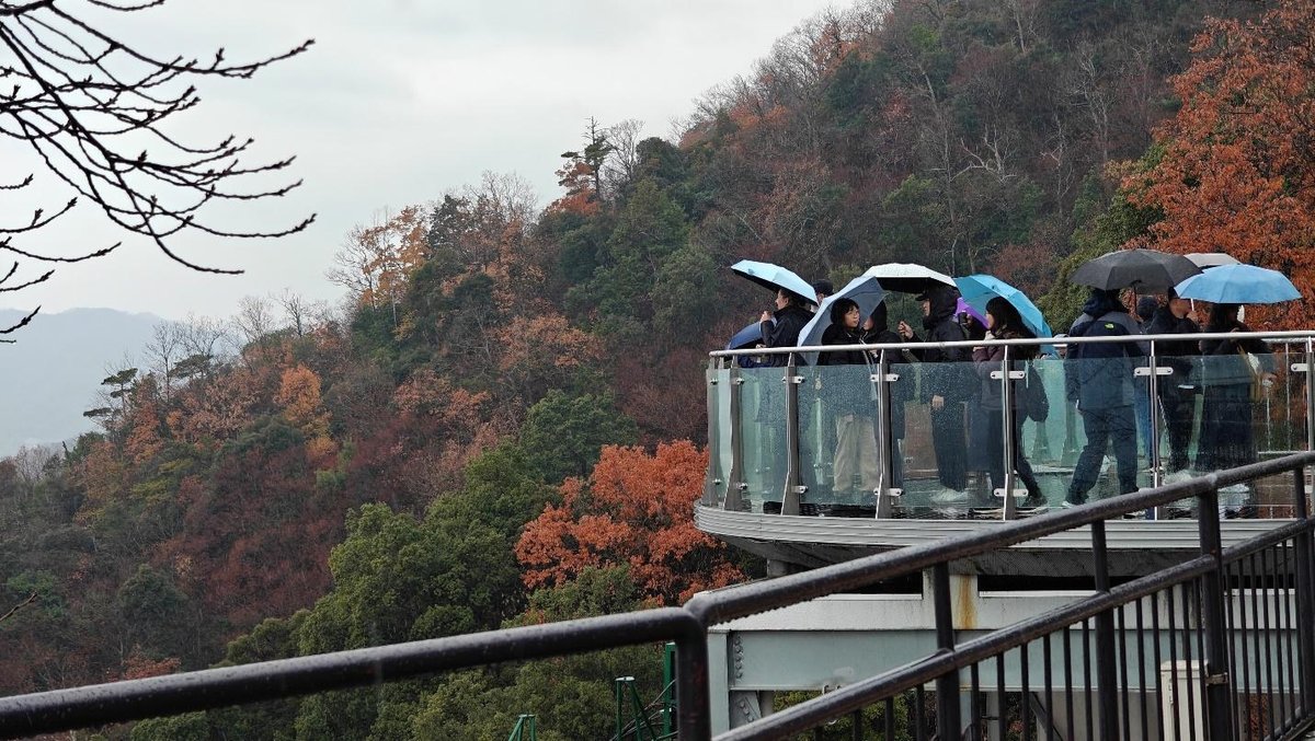 People with umbrellas on a viewing platform in autumn forest