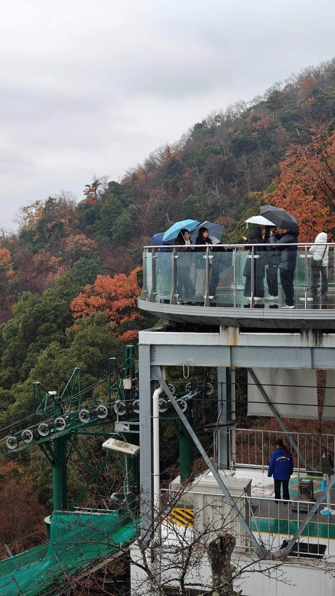 People with umbrellas on mountain viewing platform