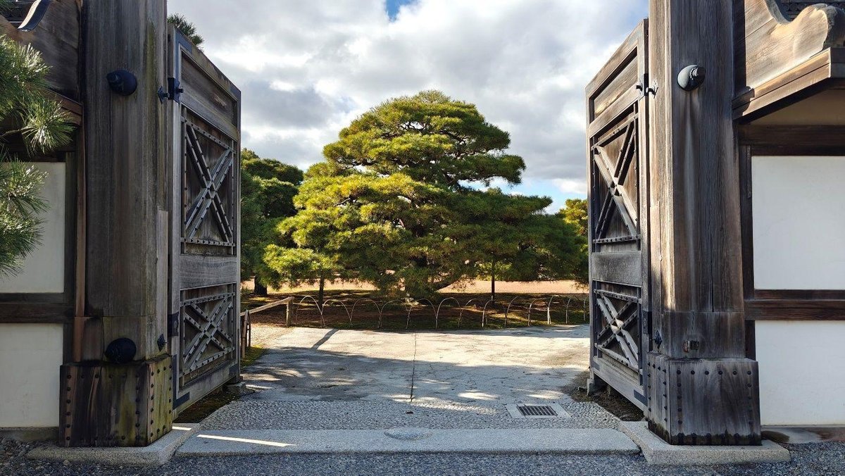 Rustic gate opens to lush green tree