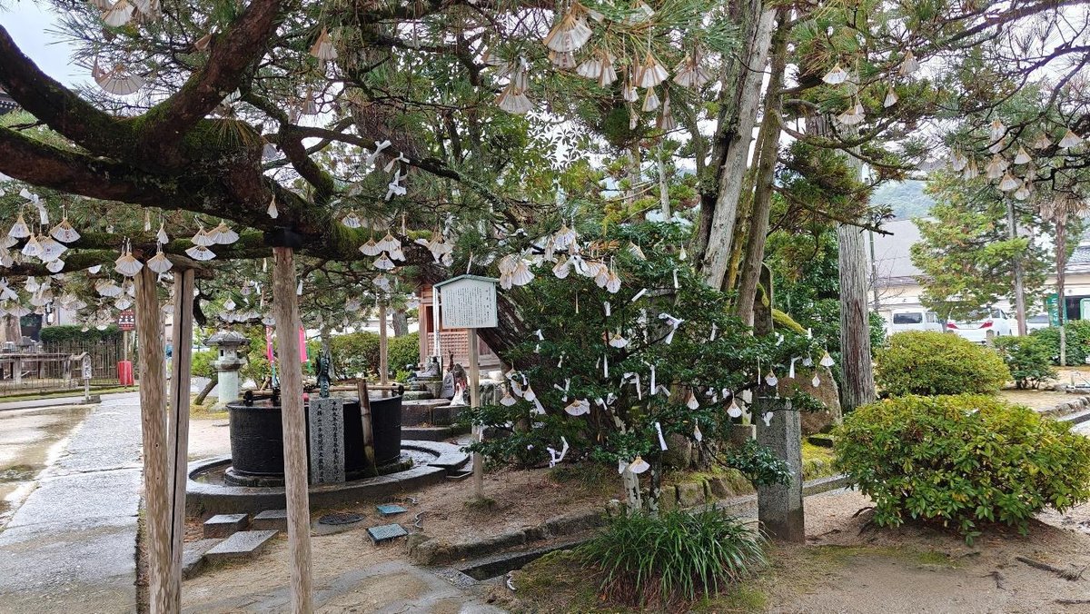 Sacred trees with paper wishes in peaceful garden setting