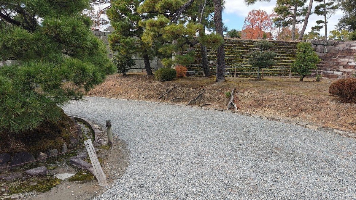 Serene garden path with stone steps