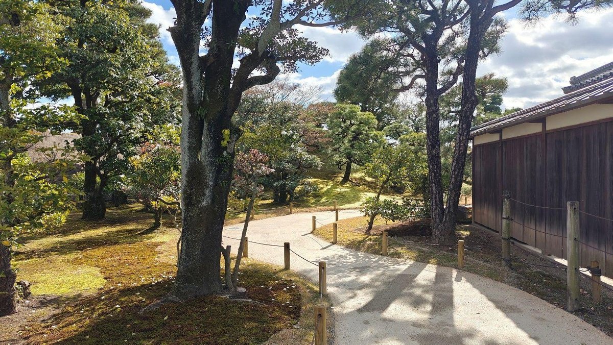 Serene garden path with trees and fence