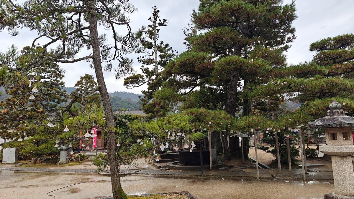 Serene Japanese garden with pine trees and stone lanterns