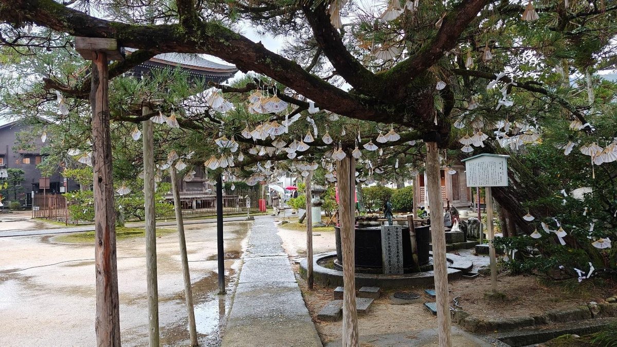 Shinto shrine with trees adorned with paper omikuji