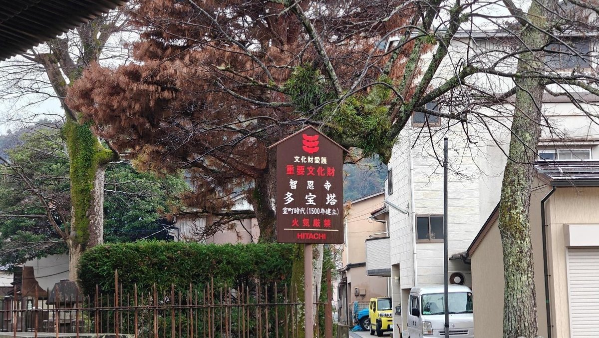 Signboard near mossy trees in an urban setting