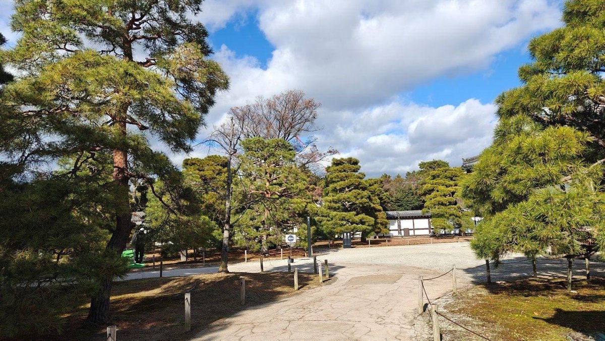 Sunny park with trees and pathway