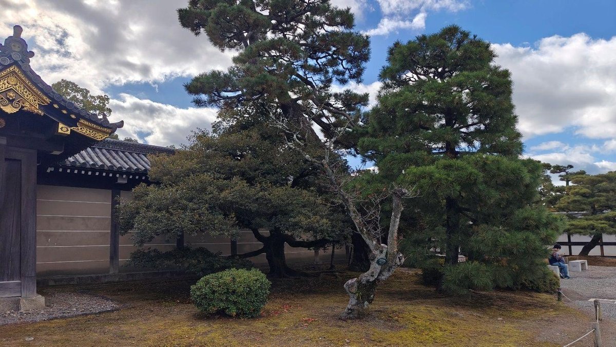 Traditional temple with pine trees