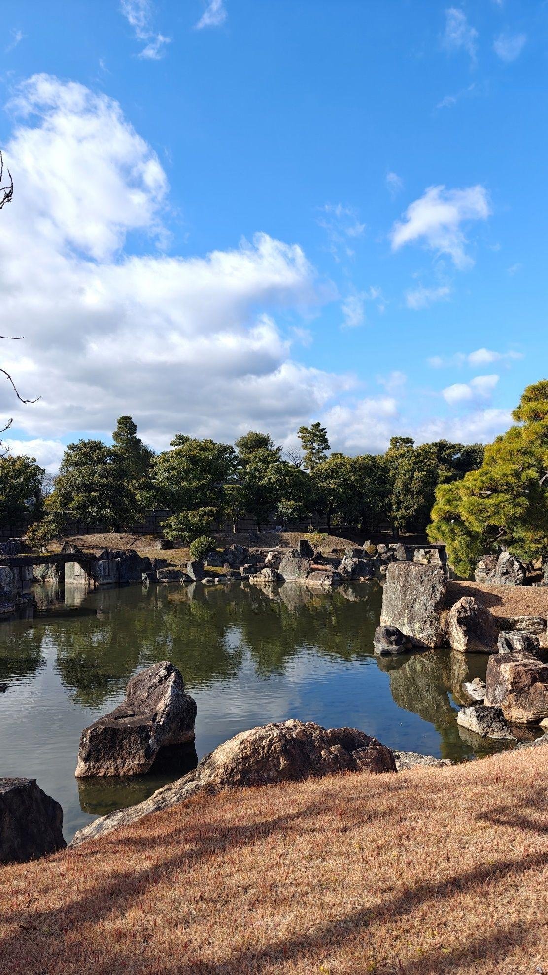 Tranquil garden pond with rocks