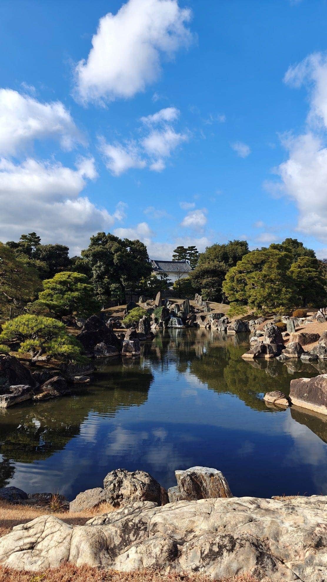 Tranquil garden with pond and rocks