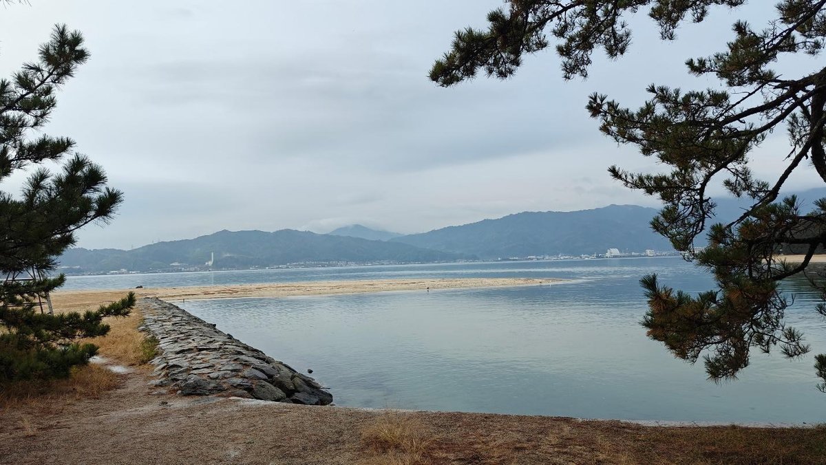 Tranquil seascape with mountains and pine trees framing the view