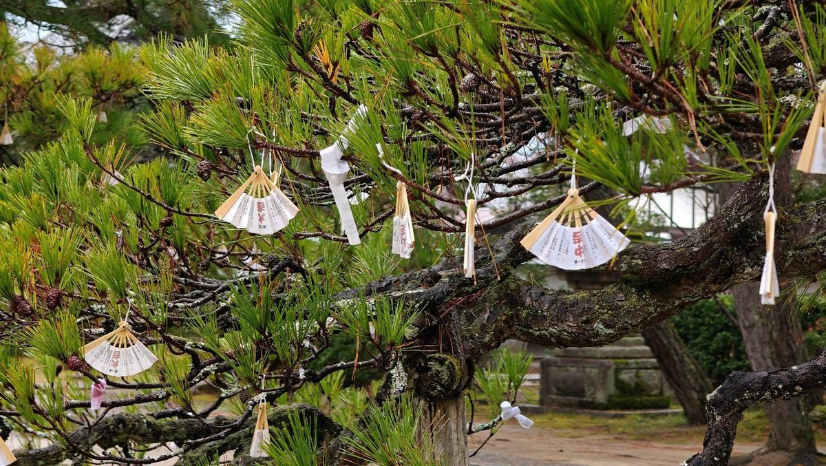 Tree adorned with paper wishes and small fans