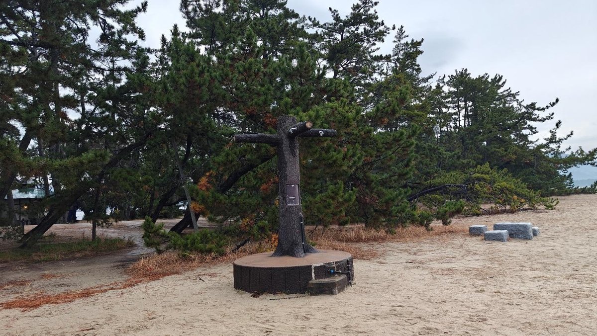 Tree-like water fountain on sandy beach with pine trees