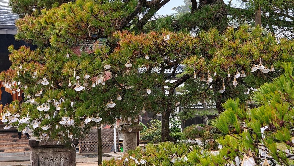 Tree with paper decorations in a serene garden setting