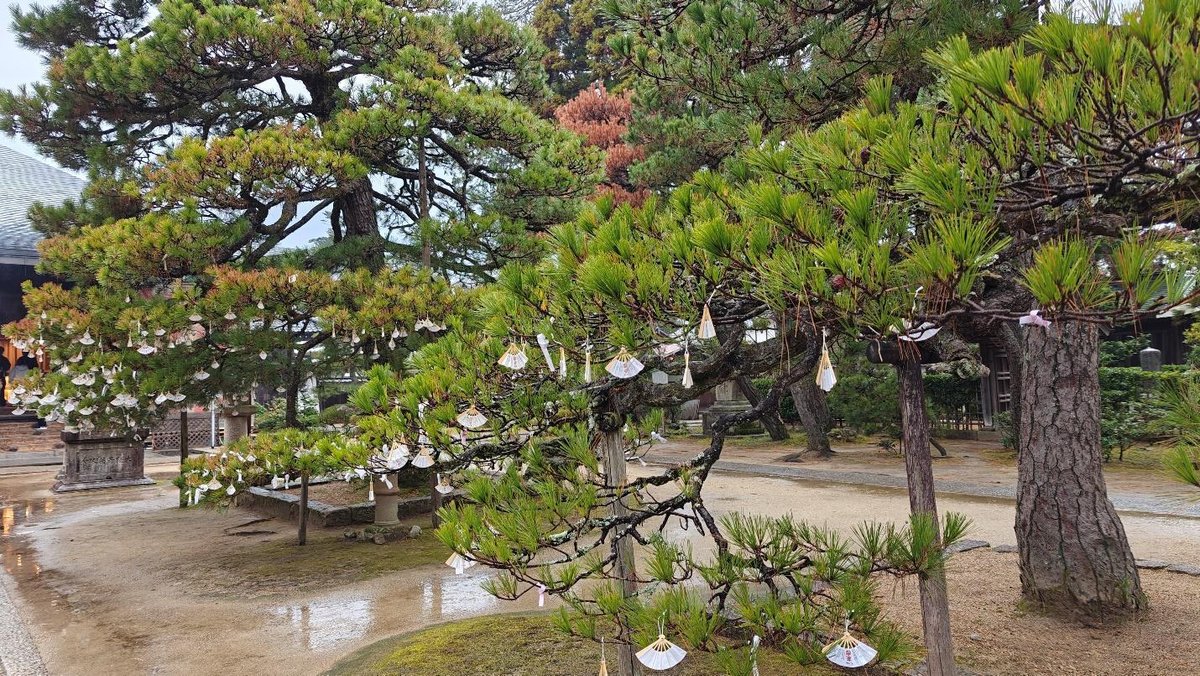 Trees decorated with paper ornaments in a tranquil garden