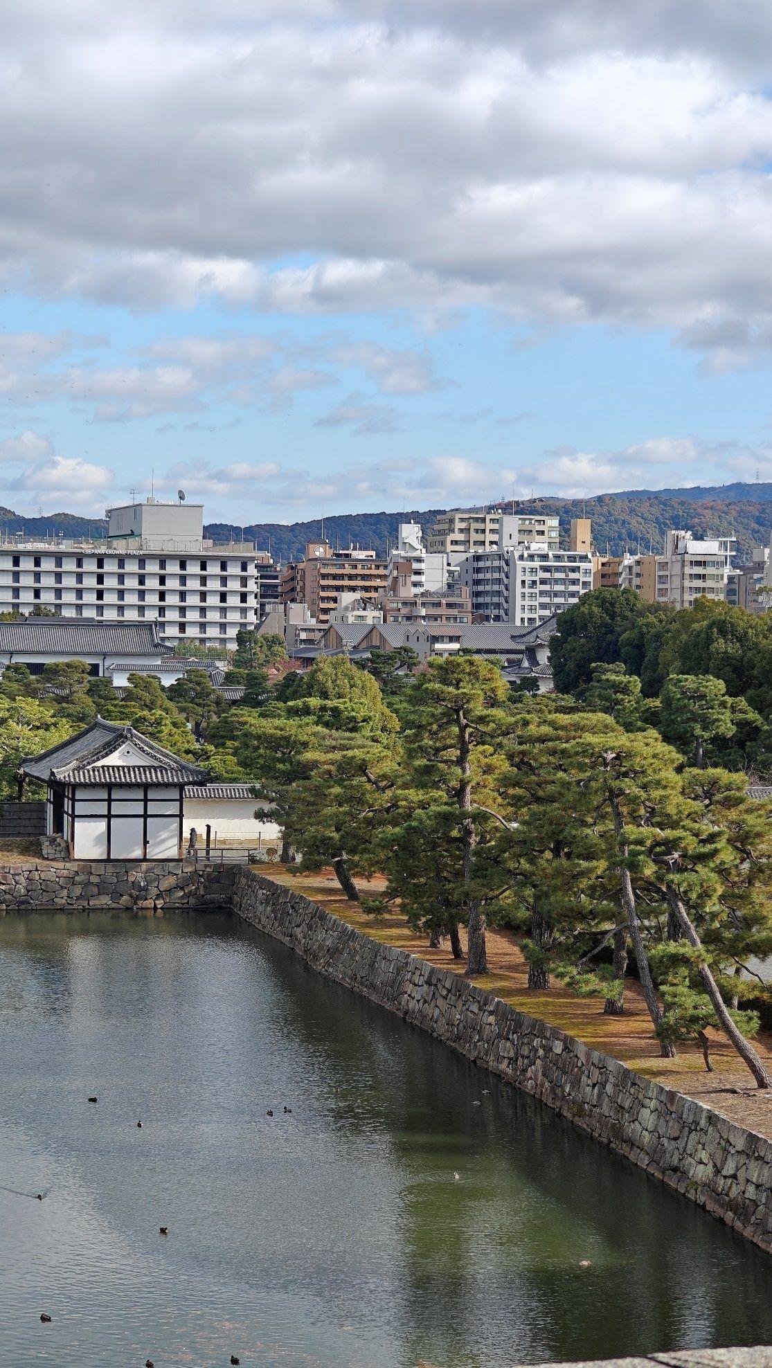Urban landscape with canal and trees