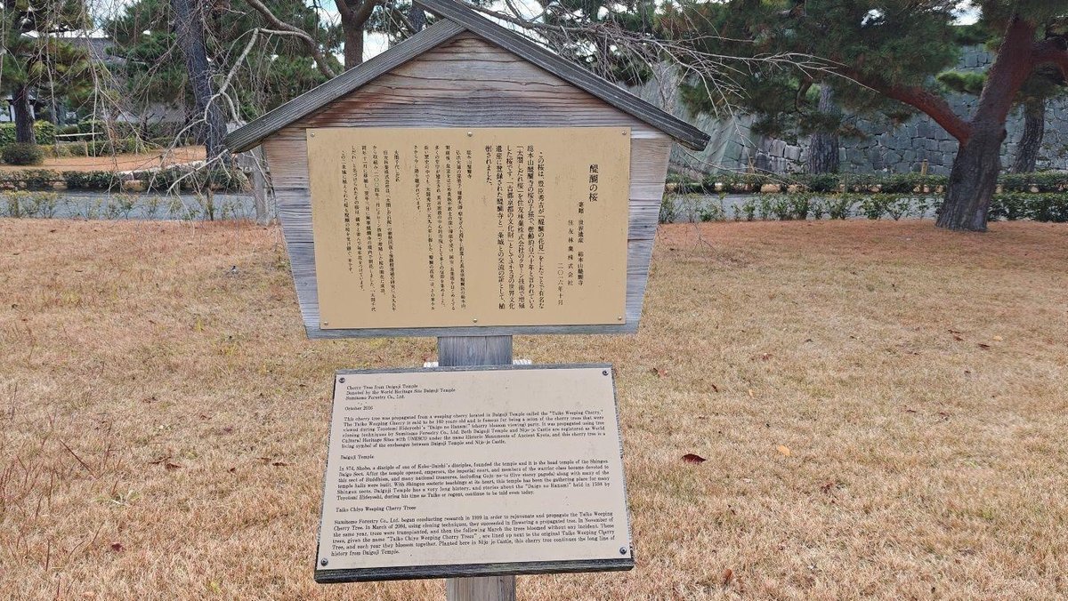Wooden sign on grass with trees behind