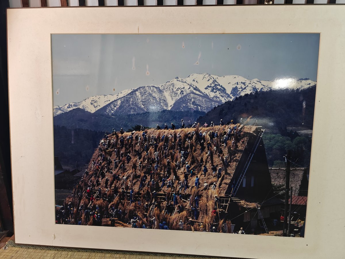 A framed color photograph on the wall showing