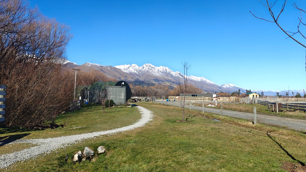 A gravel path curving through winter grass toward