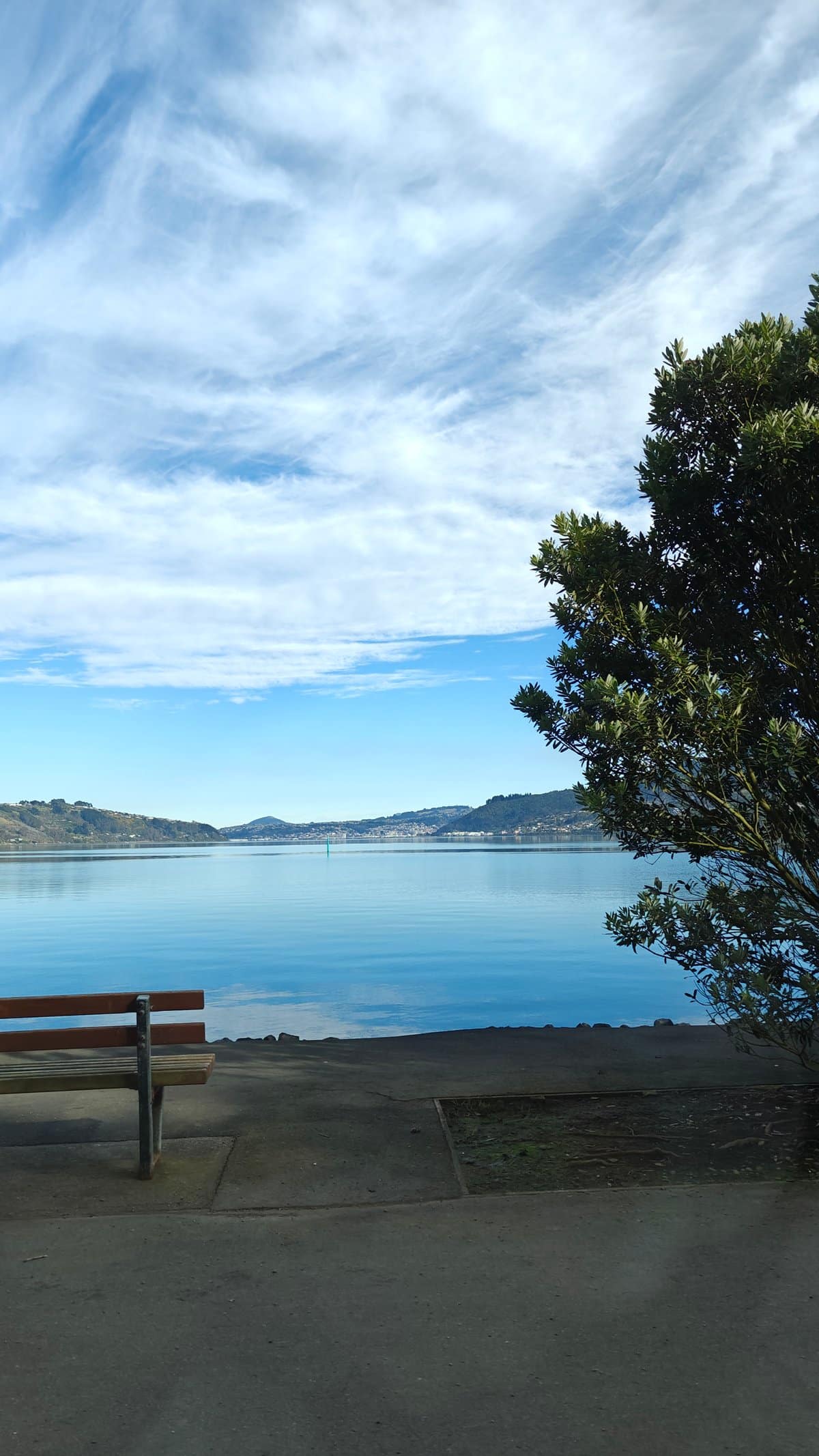 A peninsula viewpoint stop overlooking the harbour, with
