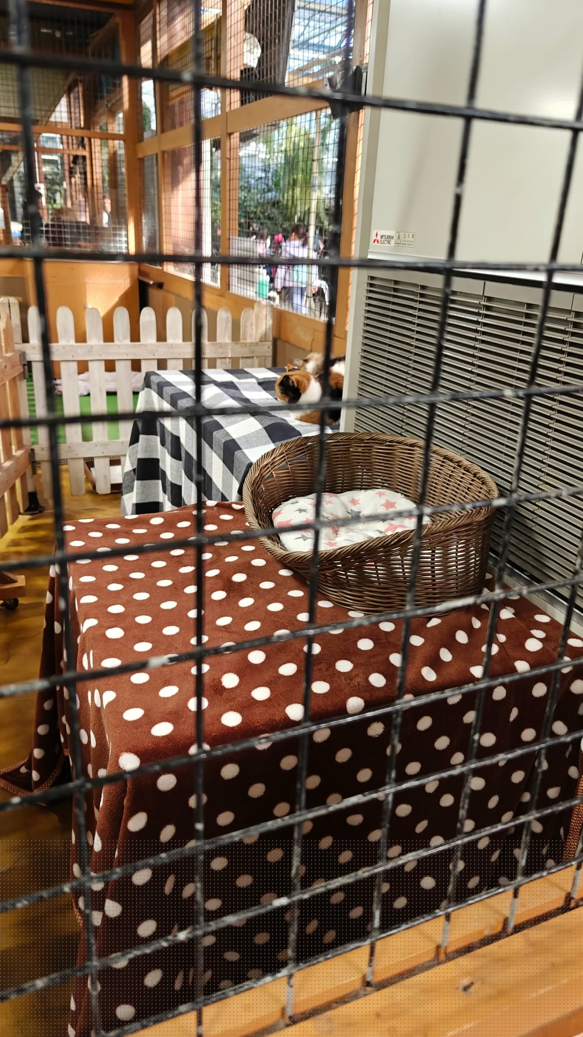 A polka-dot cushion cat bed inside a barred
