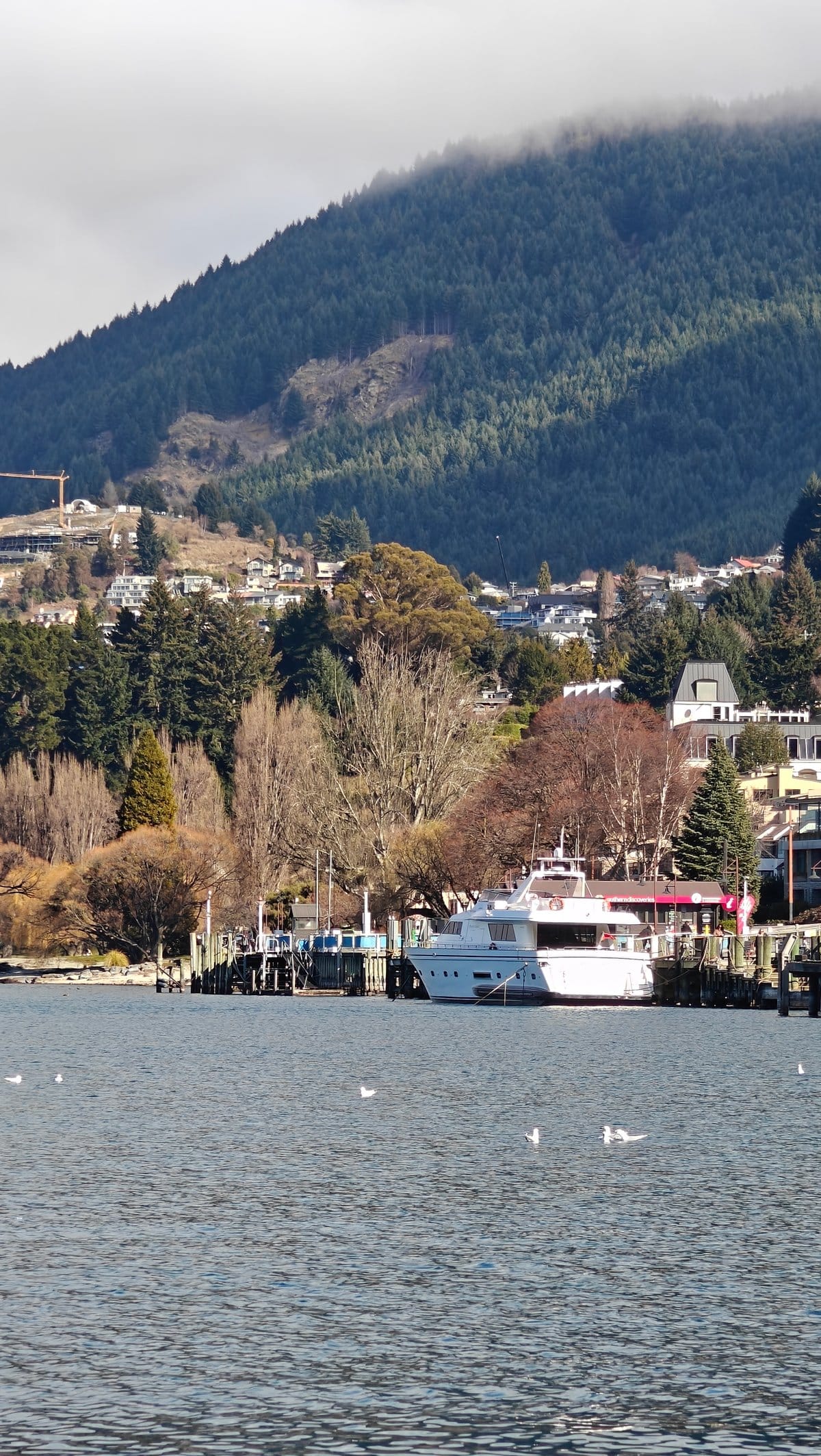 A white motor cruiser moored at the town