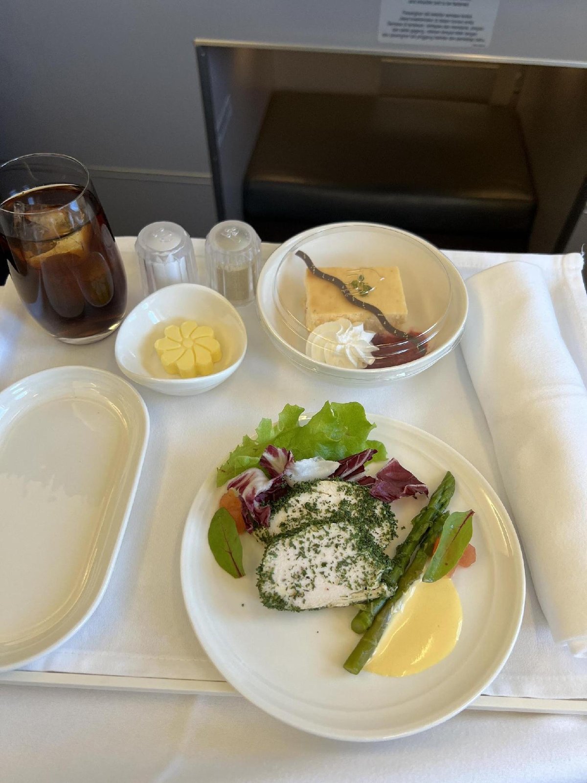 Airplane meal with chicken and dessert
