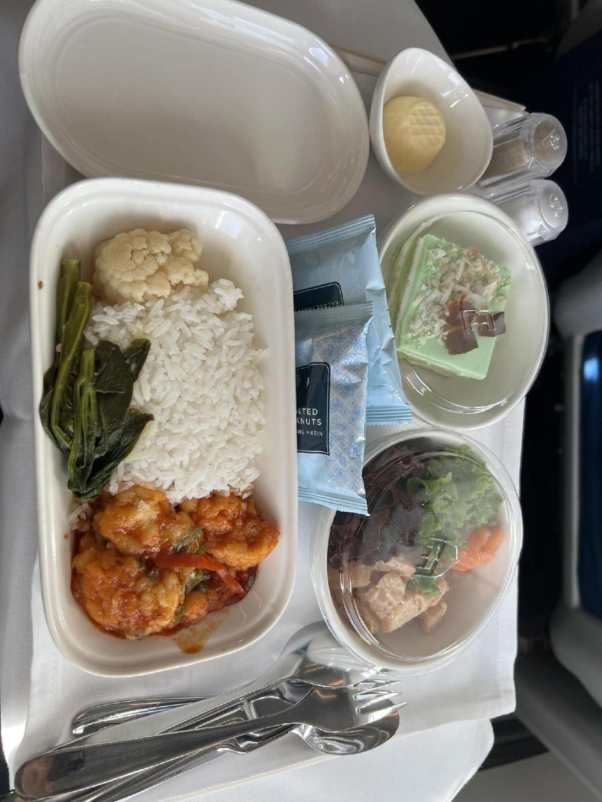 Airplane meal with rice and salad