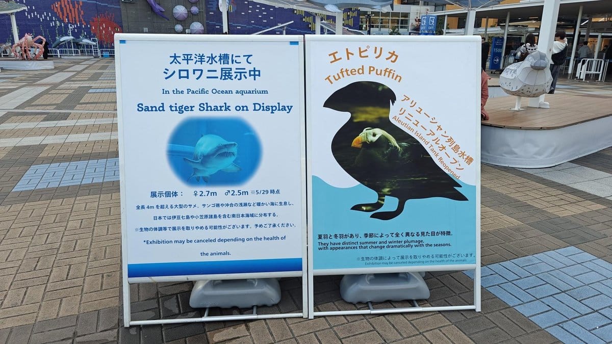 Aquarium signs for shark and puffin