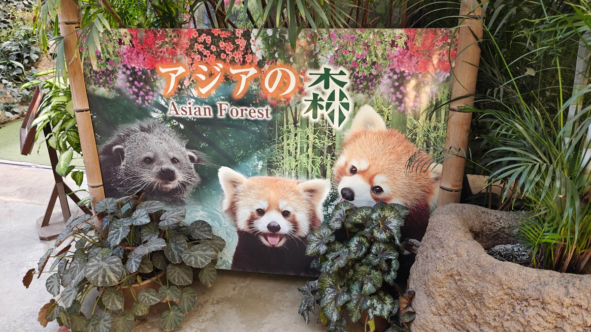 Area sign アジアの森 / Asian Forest, illustrated with
