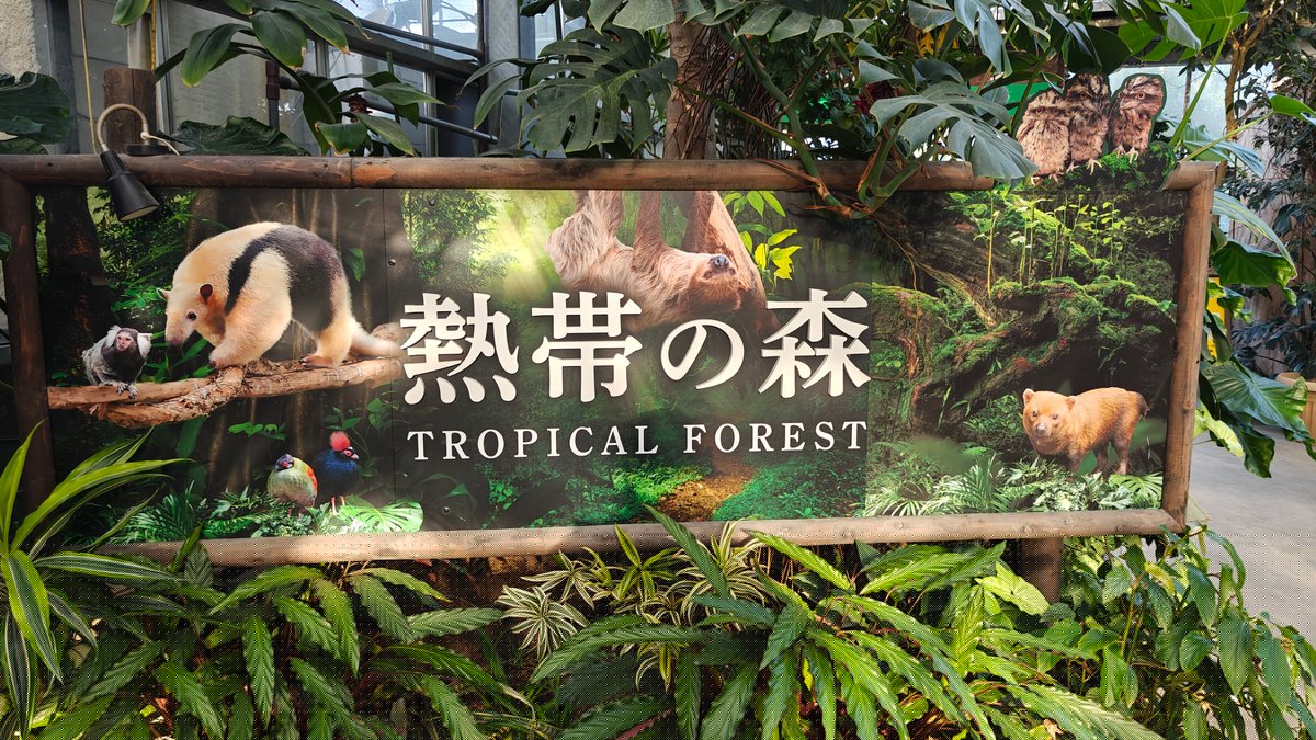 Area sign 熱帯の森 / TROPICAL FOREST, illustrated with