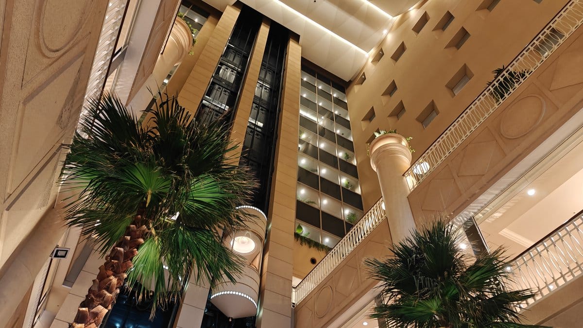 Atrium with palm trees in the foreground and