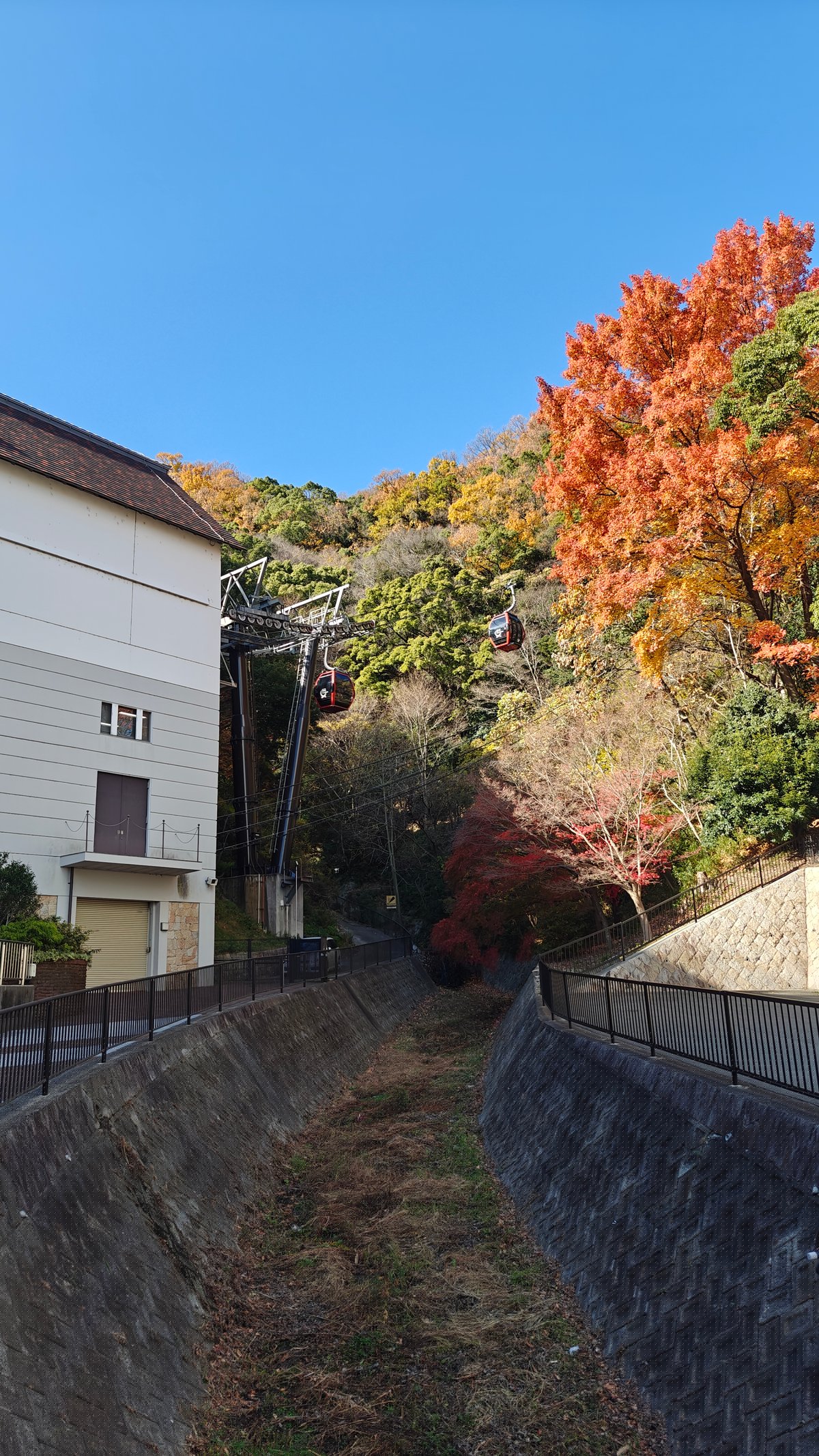 Autumn foliage at ropeway station